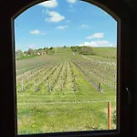 Sklep Vino Strycek
