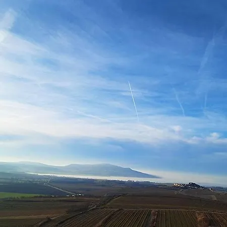 Sklep Vino Strycek Casa di campagna Velké Bílovice