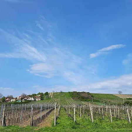 Sklep Vino Strycek * Velké Bílovice