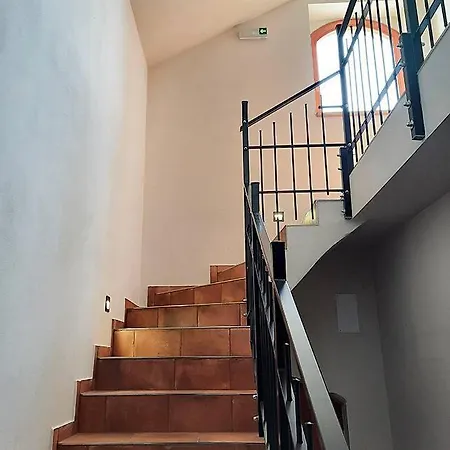 Sklep Vino Strycek Velké Bílovice