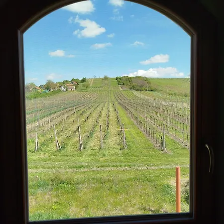 Sklep Vino Strycek