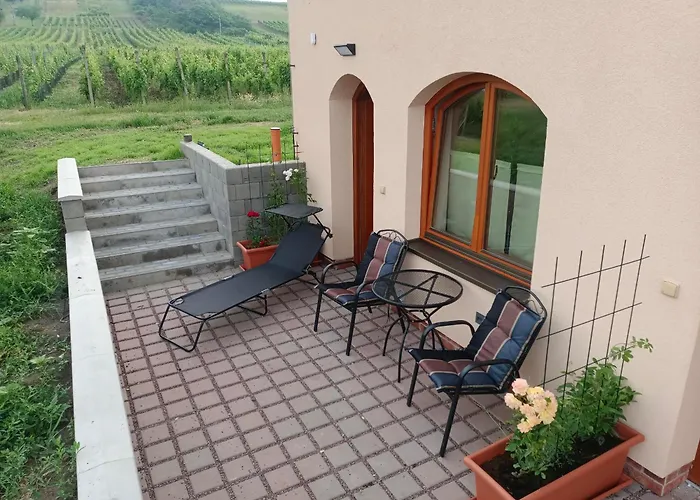 Venkovský dům Sklep Víno Strýček *