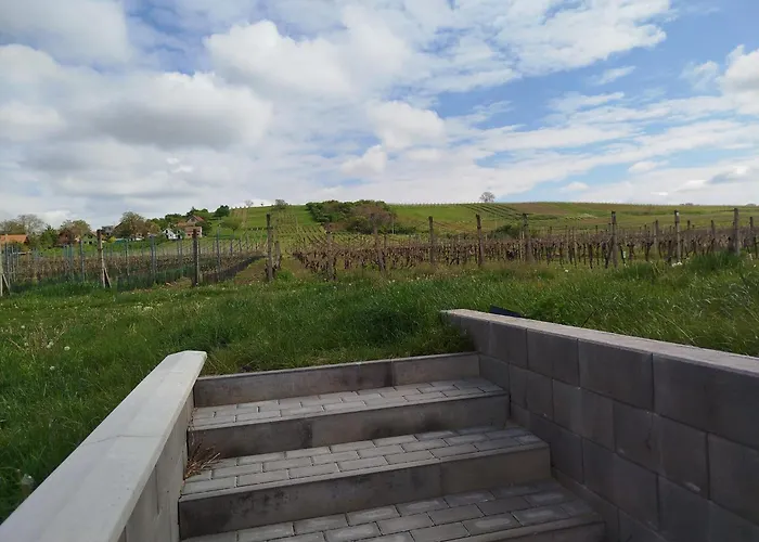 Country house Sklep Vino Strycek *