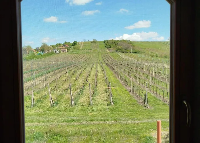 Sklep Vino Strycek